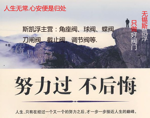 斯凱浮閥門(mén)